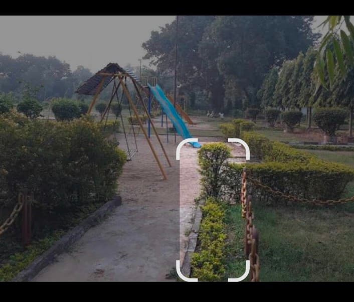 World Medetation Day